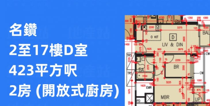 名钻两房423平方尺户型图