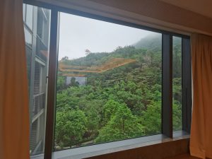 香港九龙塘豪宅缇外实景 (3)